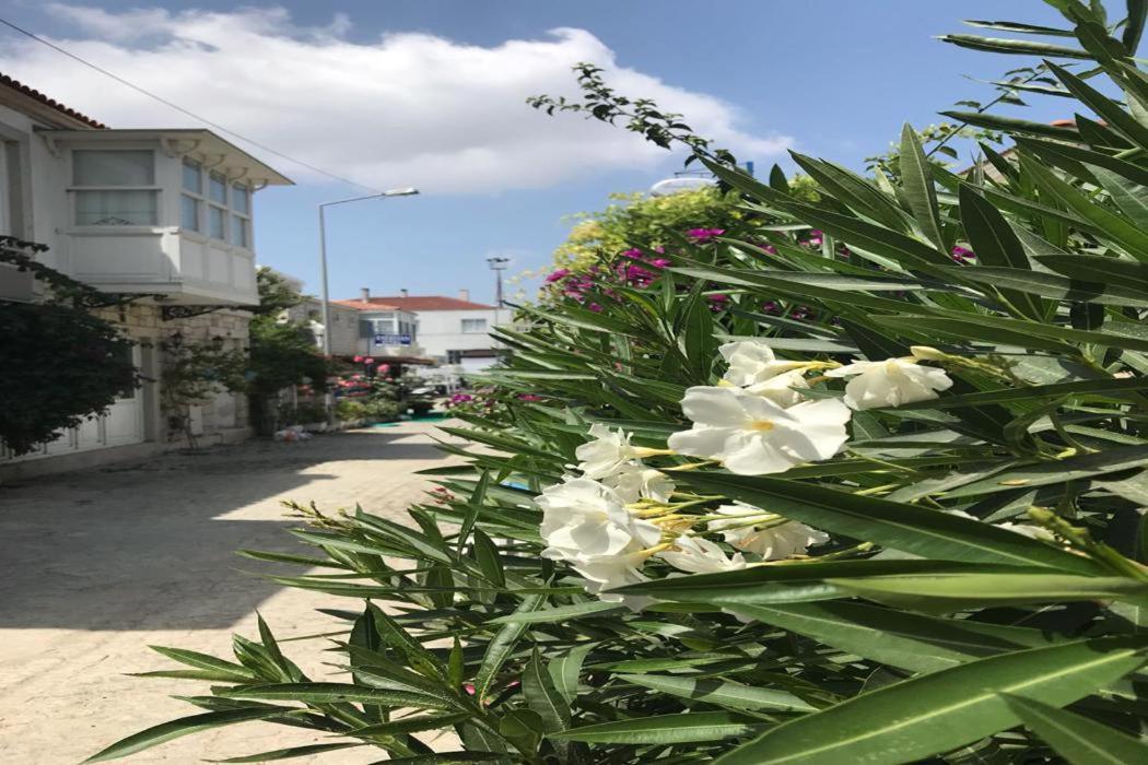 Beyaz Ev Hotel Alaçatı Zewnętrze zdjęcie